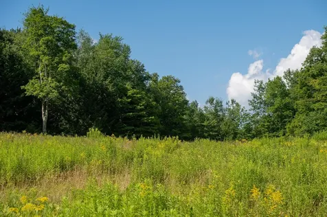 5734 Vt Route 11 Londonderry VT 05148