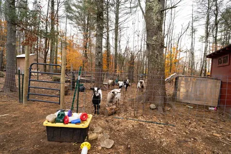 35 Chamberlin Way New Durham NH 03855