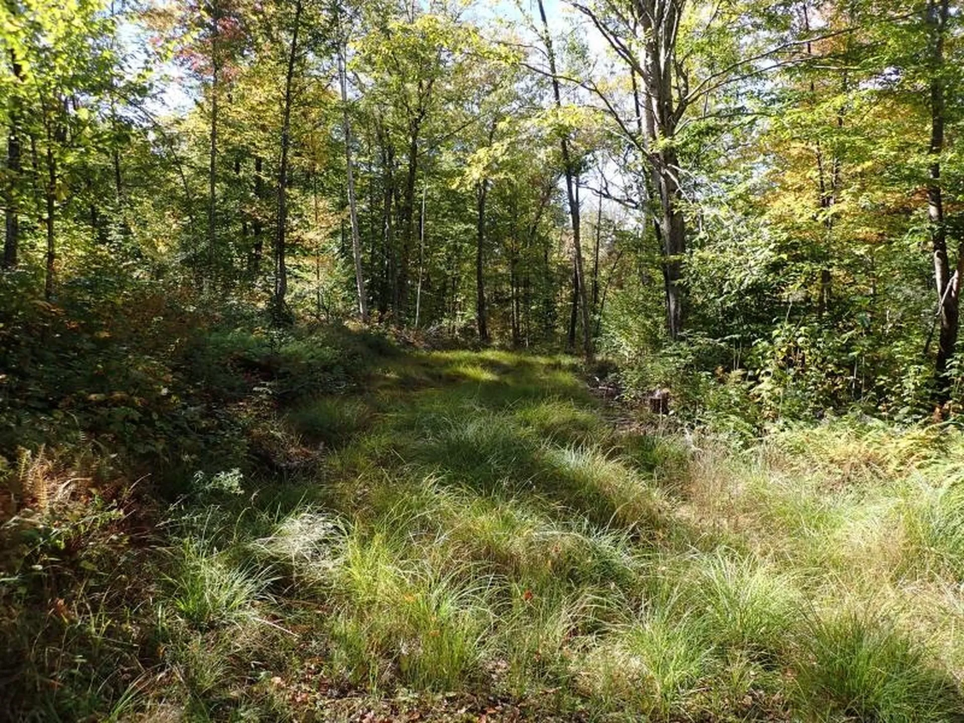 West Hill Road Jamaica VT 05343