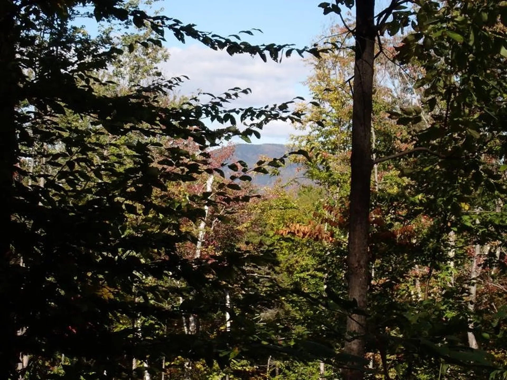 West Hill Road Jamaica VT 05343