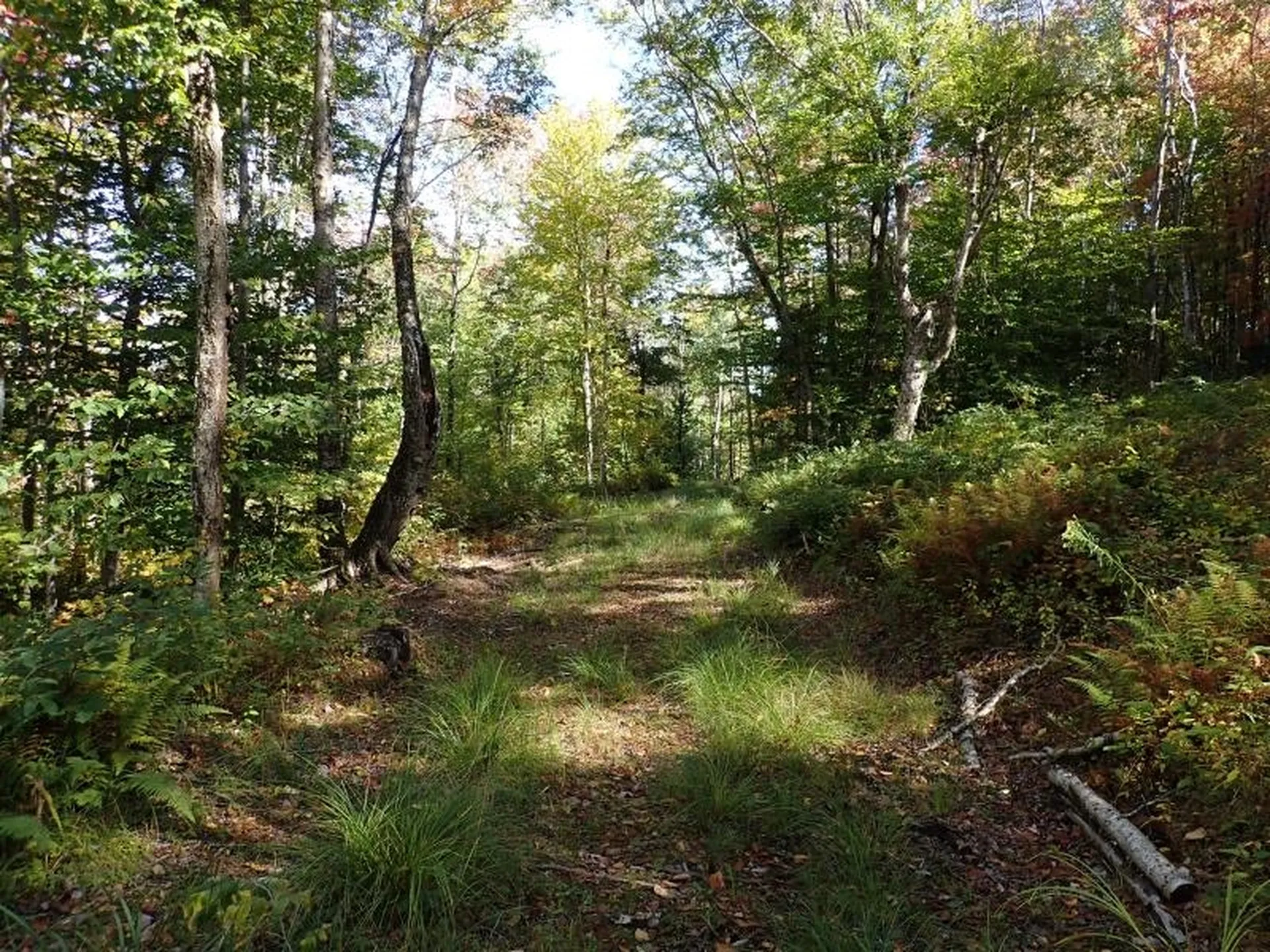 West Hill Road Jamaica VT 05343