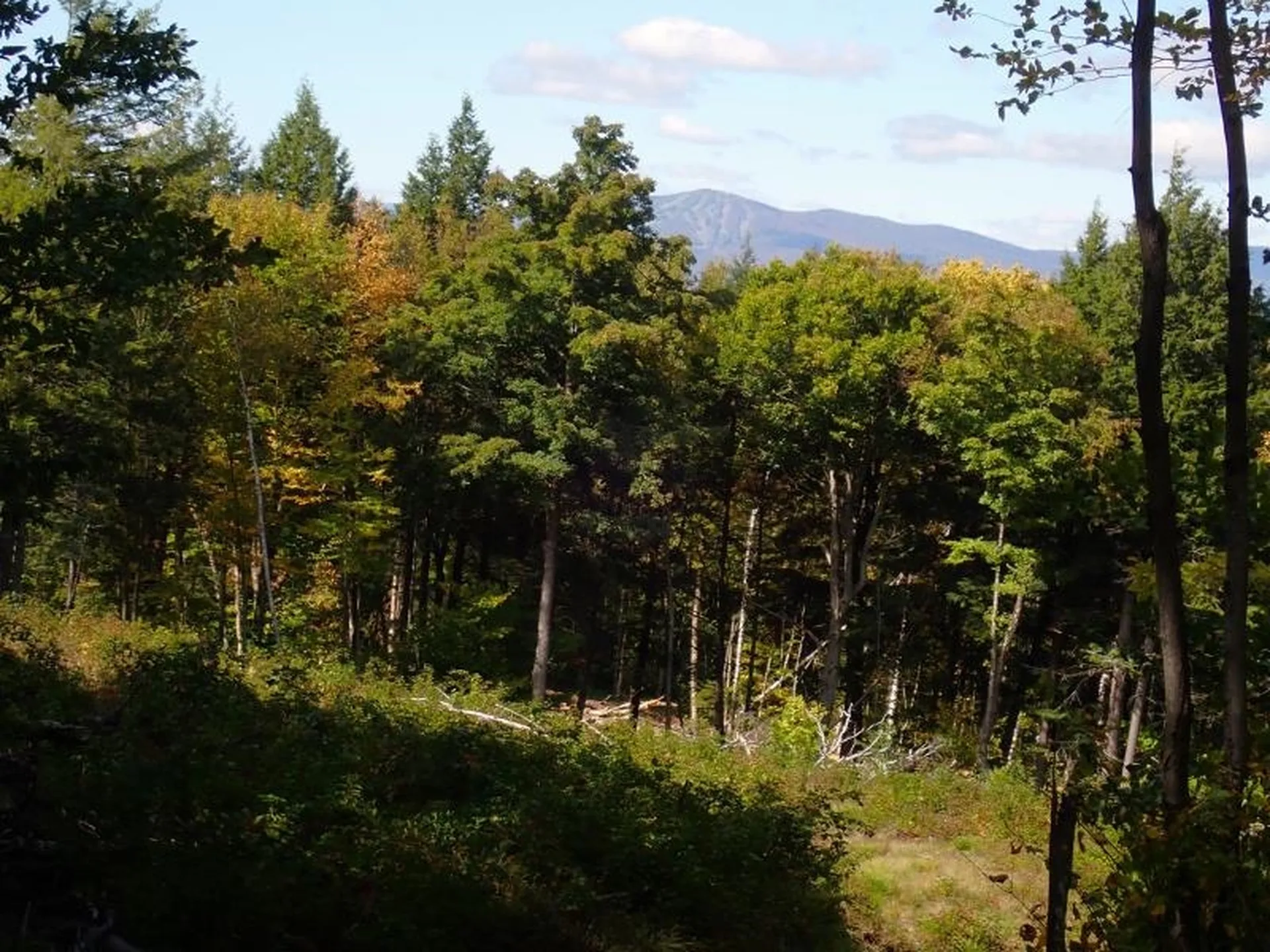 West Hill Road Jamaica VT 05343