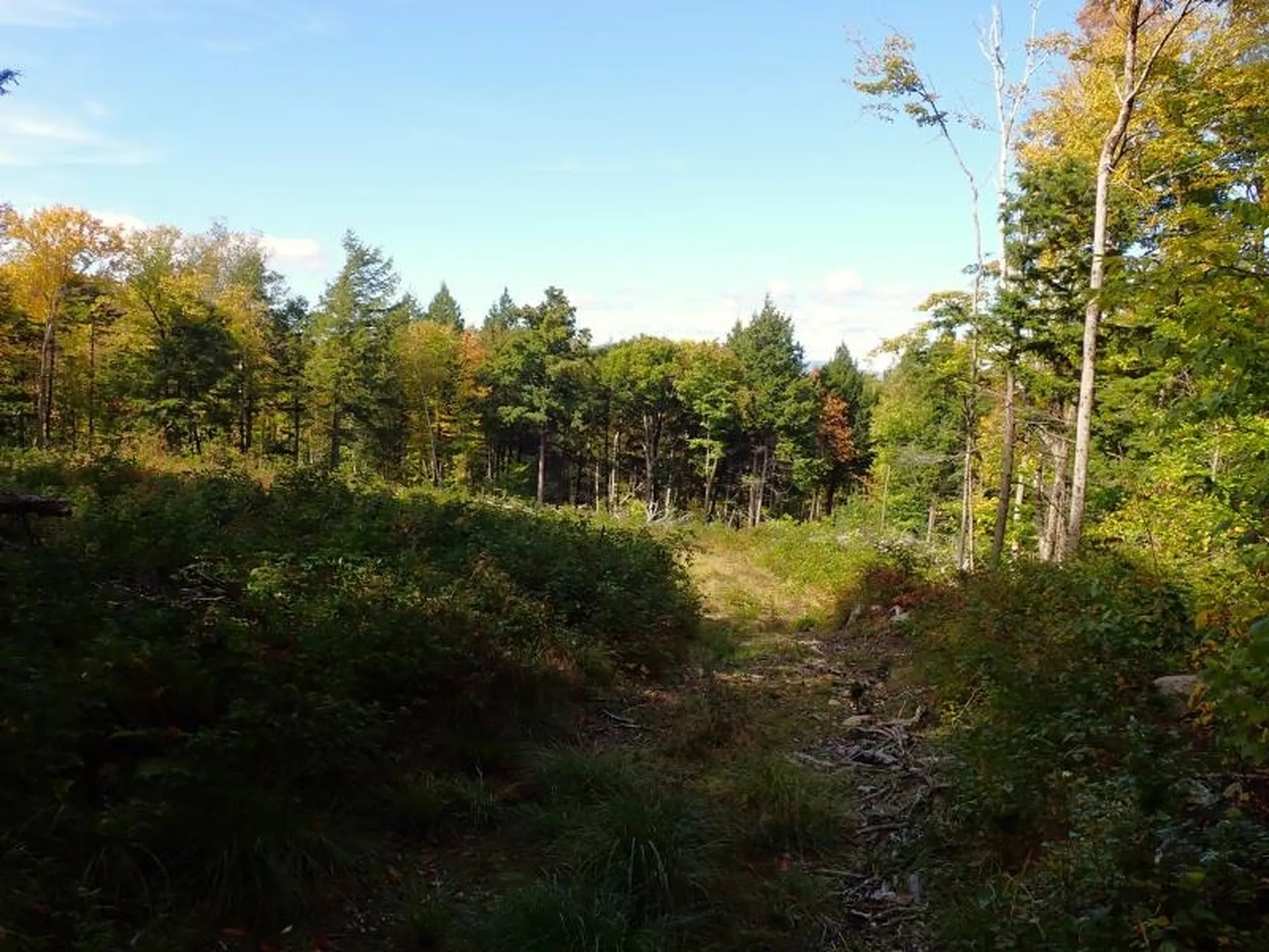 West Hill Road Jamaica VT 05343