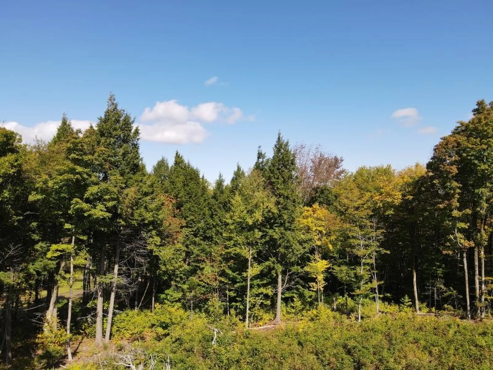 West Hill Road Jamaica VT 05343