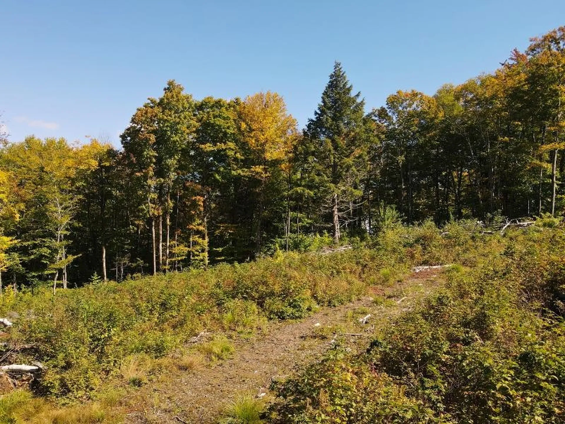 West Hill Road Jamaica VT 05343