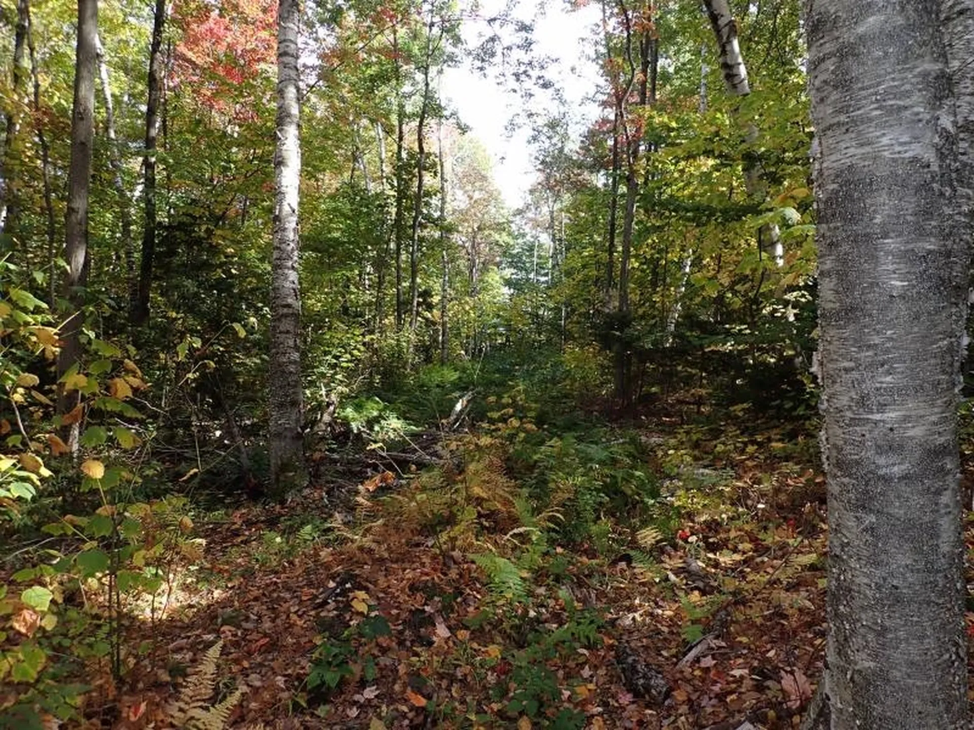 West Hill Road Jamaica VT 05343