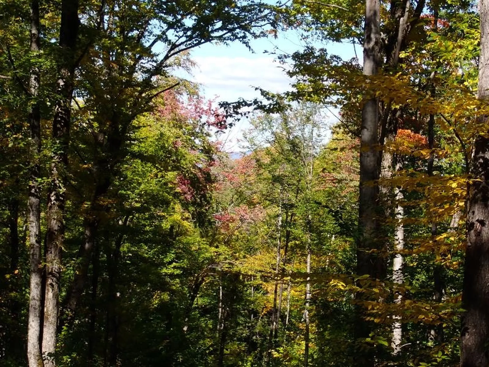 West Hill Road Jamaica VT 05343