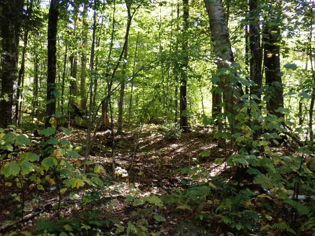 West Hill Road Jamaica VT 05343