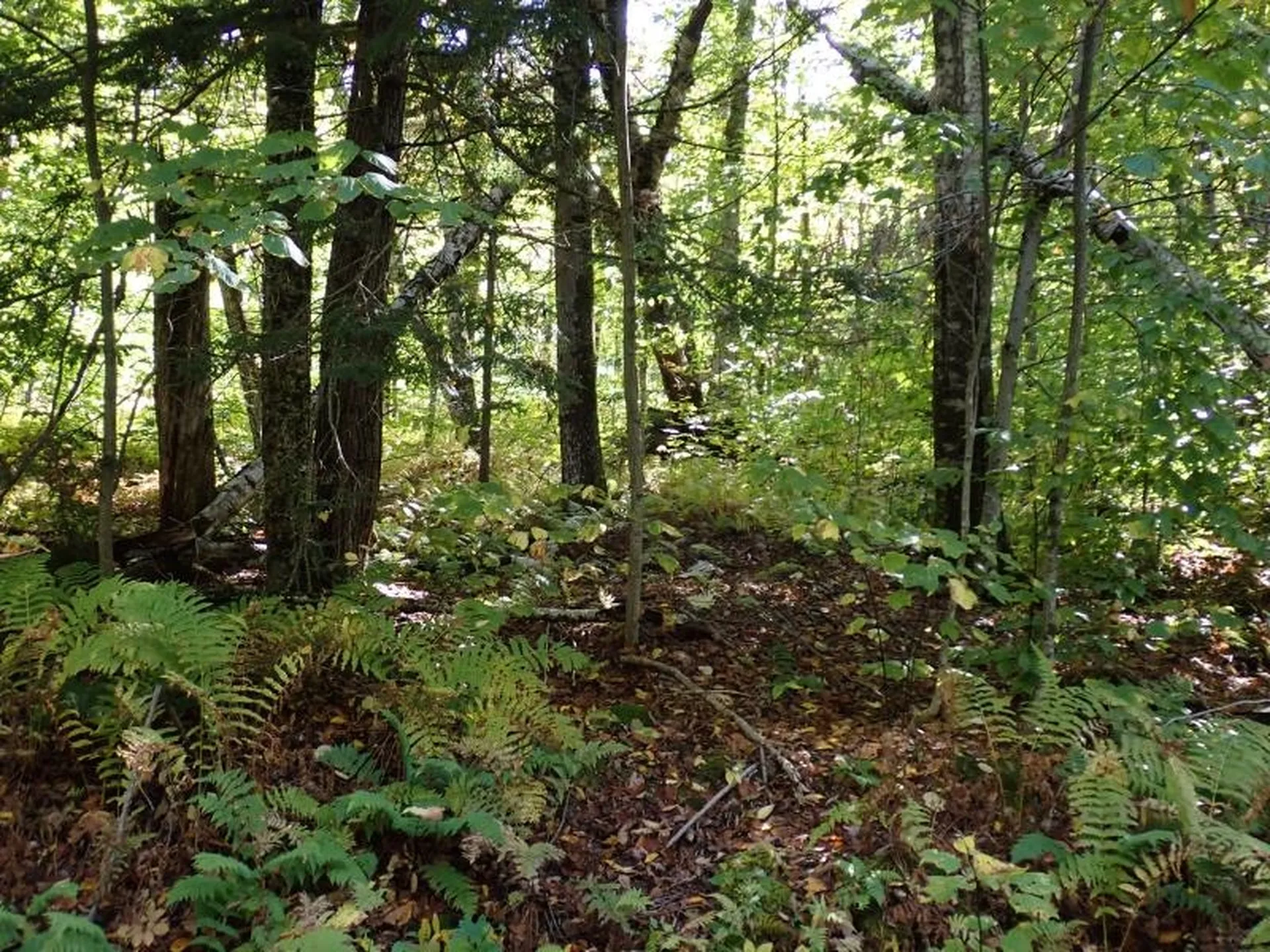 West Hill Road Jamaica VT 05343