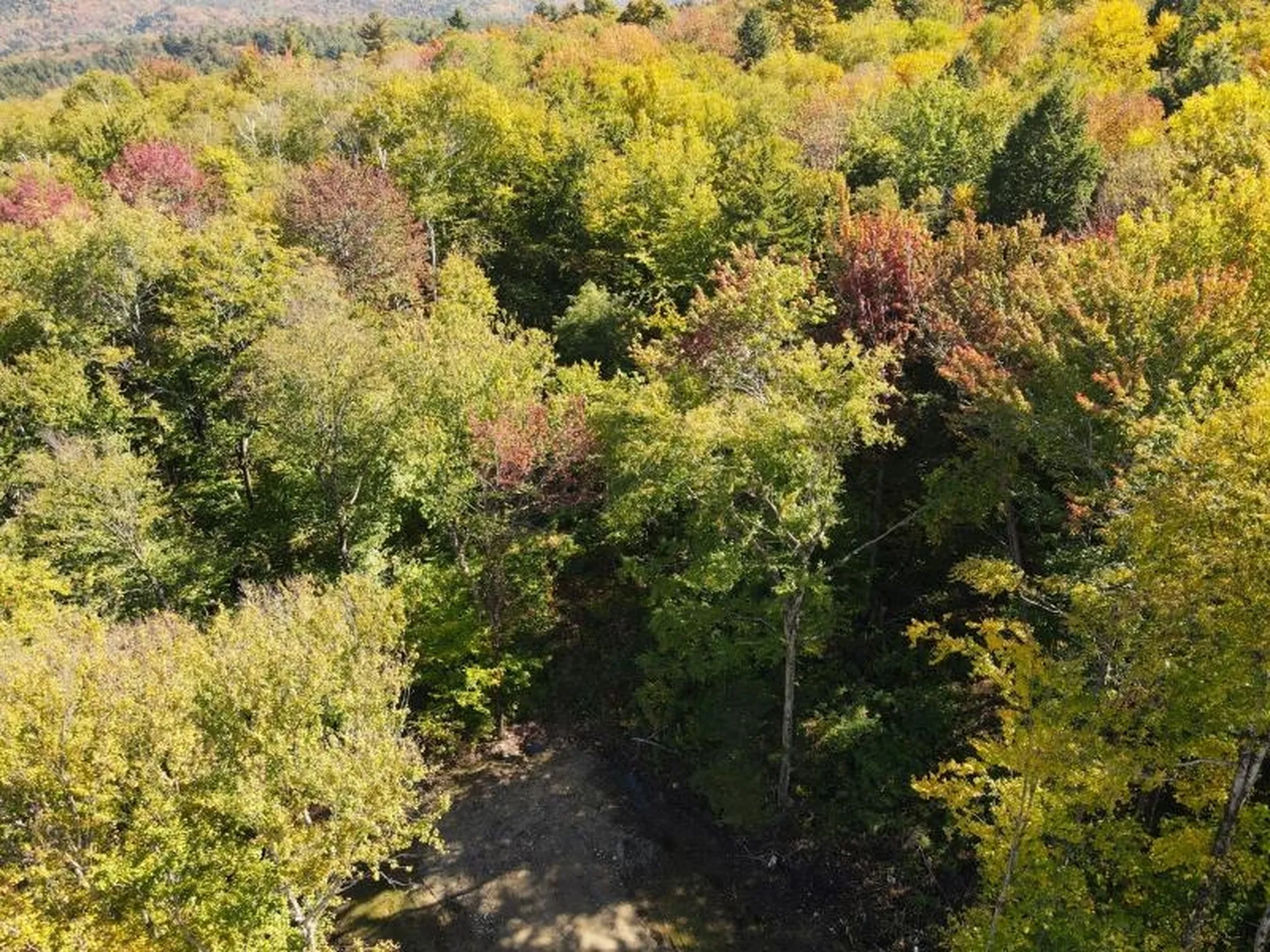 West Hill Road Jamaica VT 05343