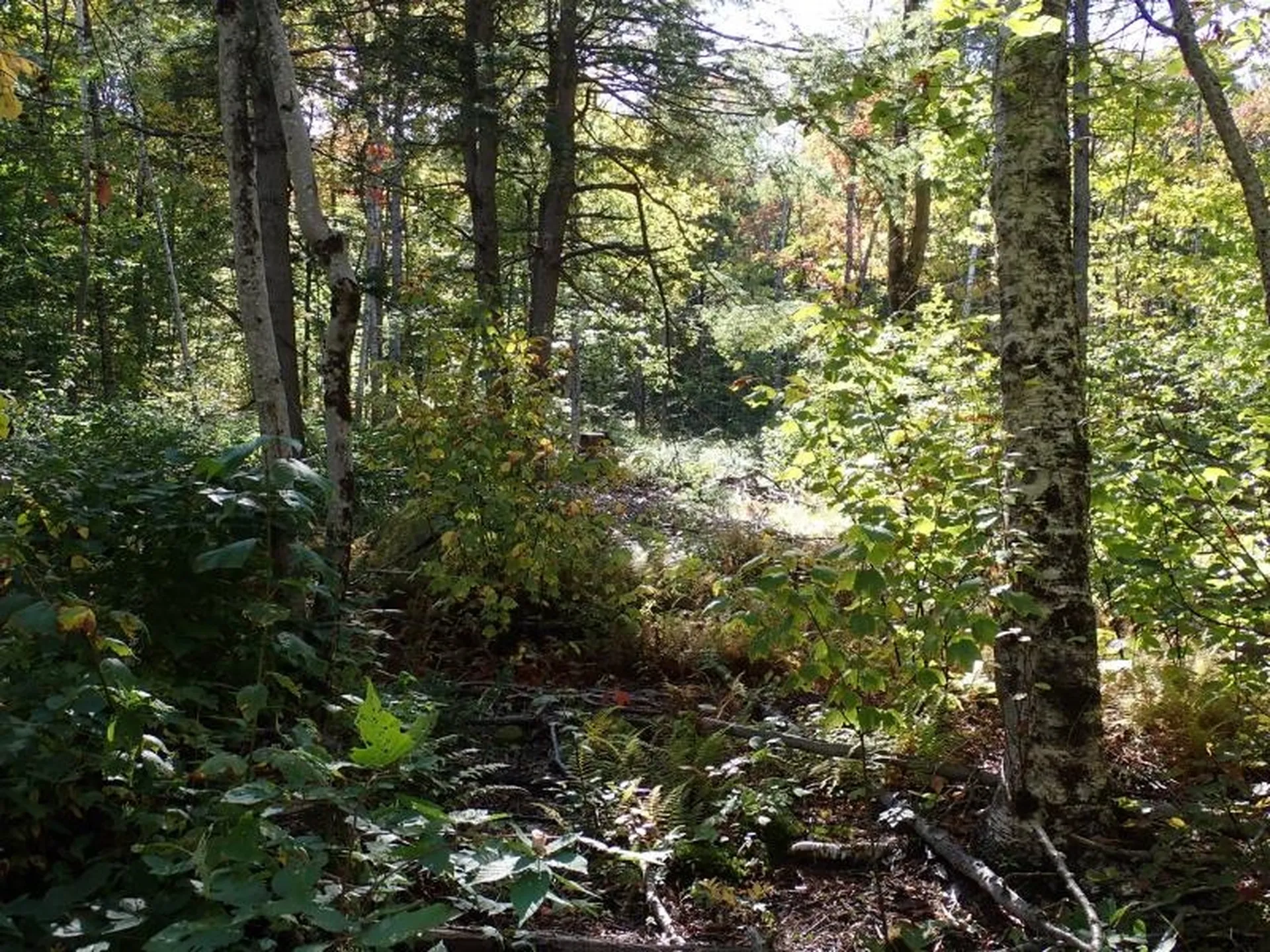 West Hill Road Jamaica VT 05343