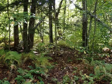 West Hill Road Jamaica VT 05343