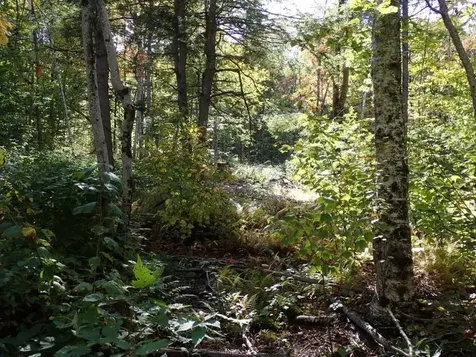 West Hill Road Jamaica VT 05343