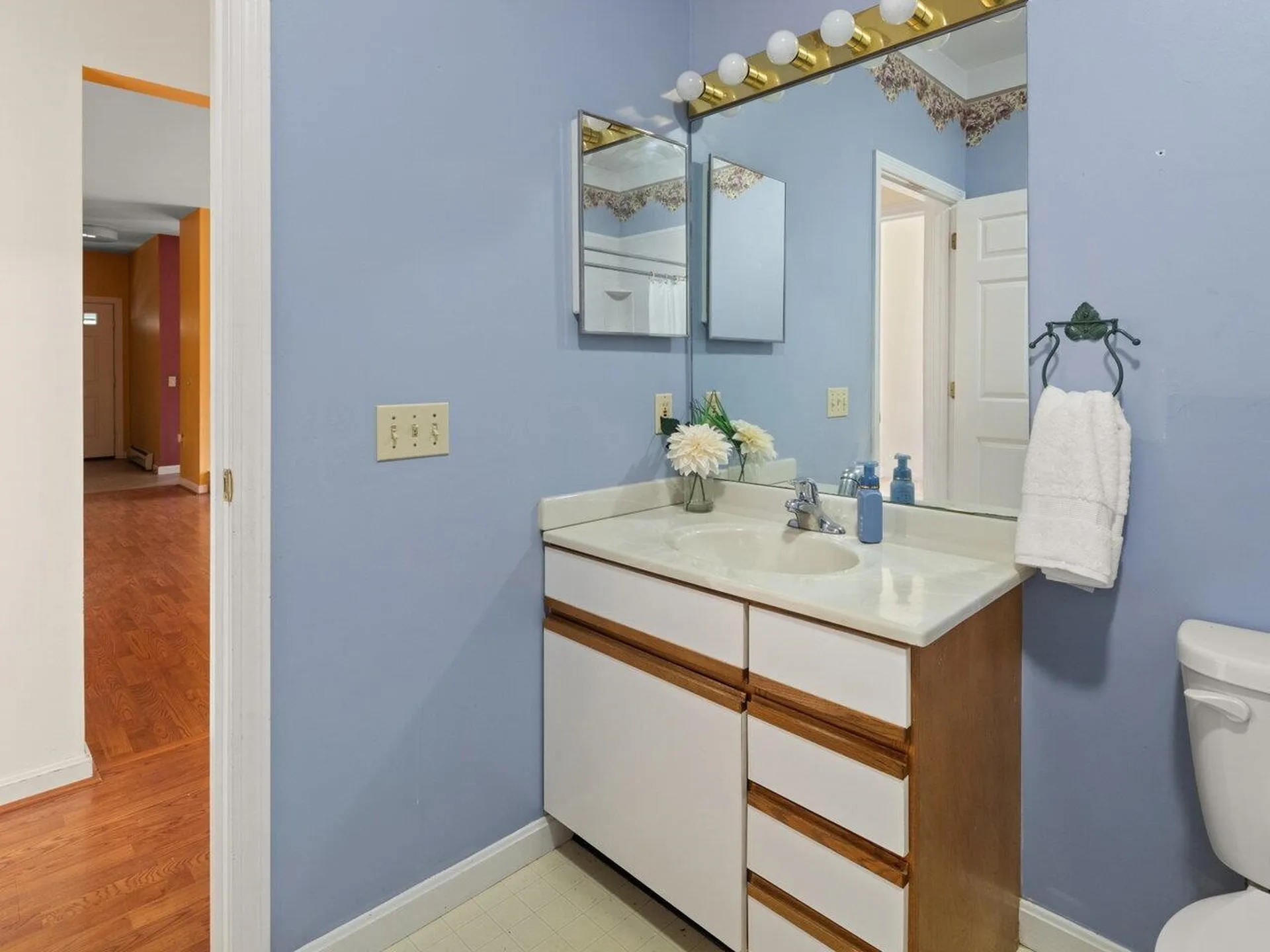 66 Starbird Road Jericho VT 05465