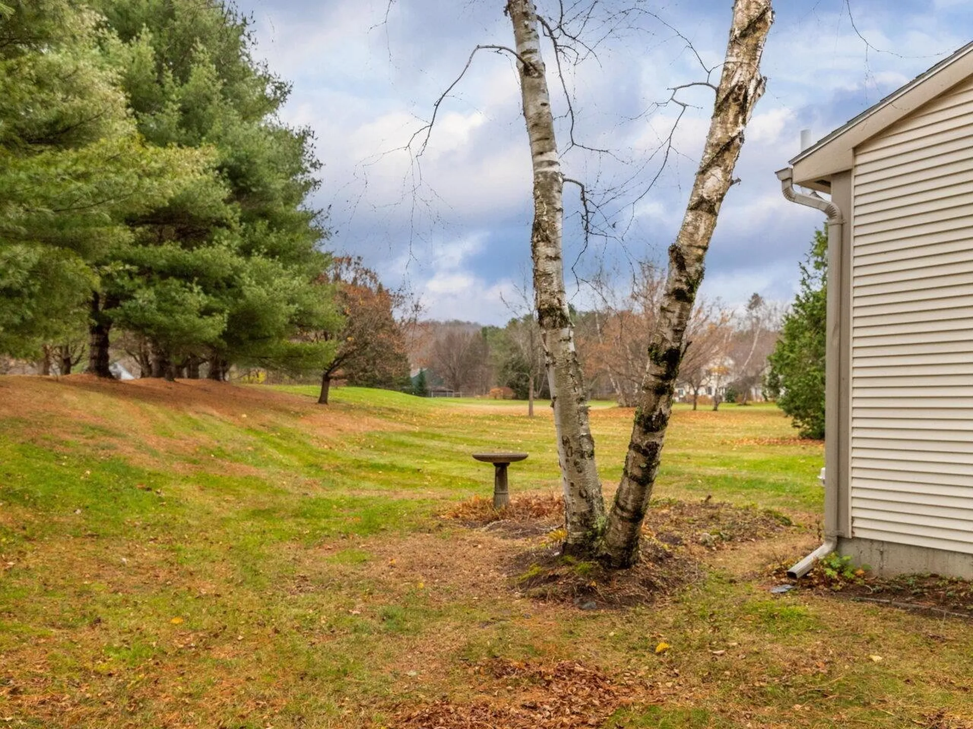 66 Starbird Road Jericho VT 05465