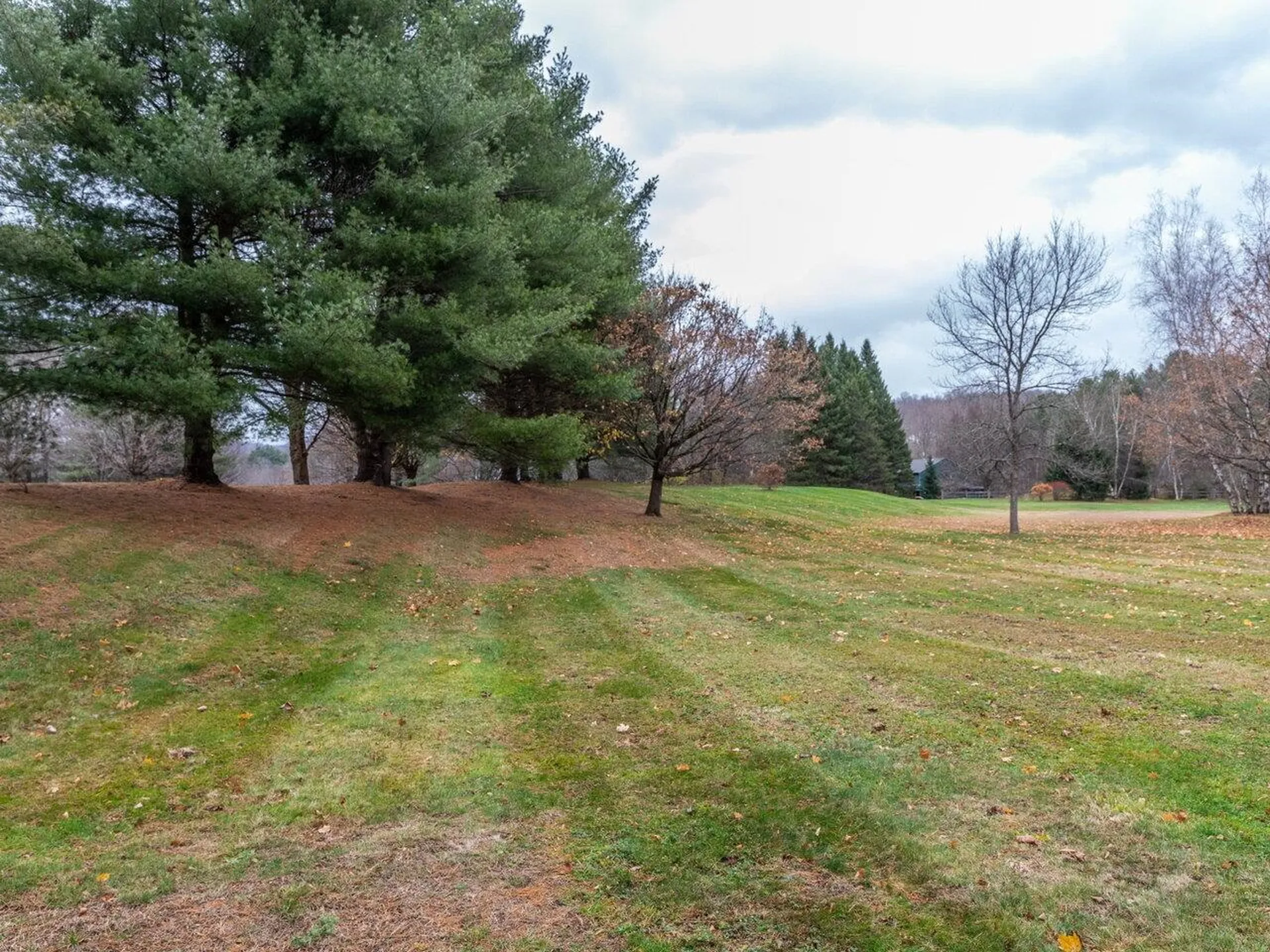 66 Starbird Road Jericho VT 05465