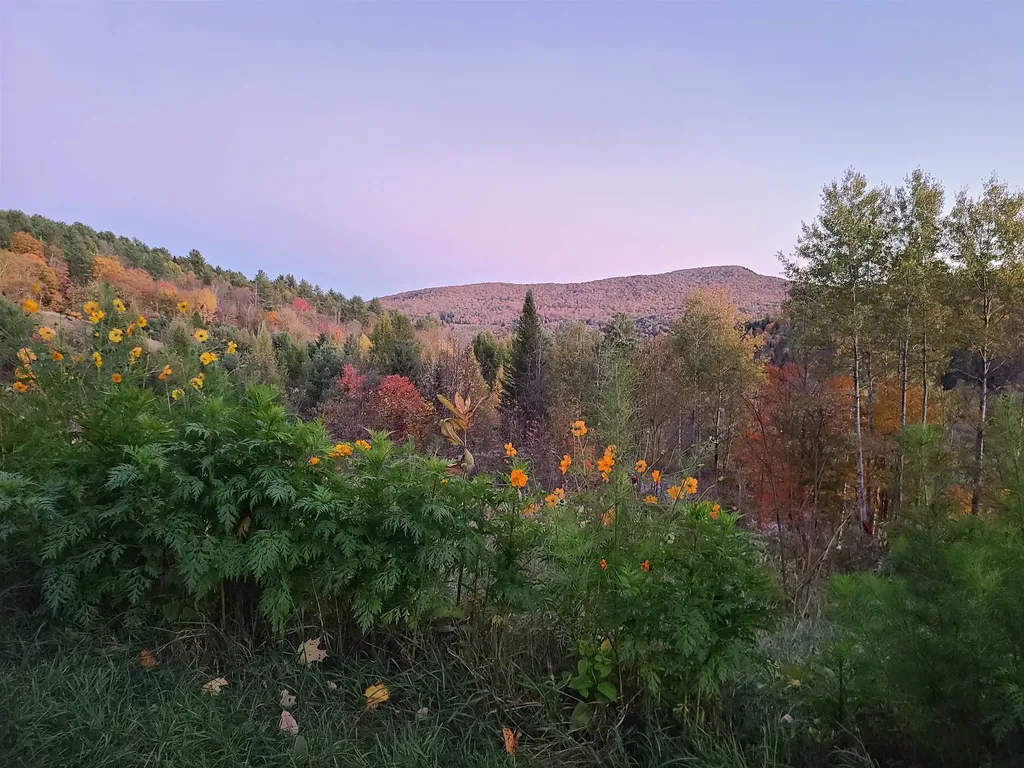 2402 Chelsea Road Corinth VT 05039