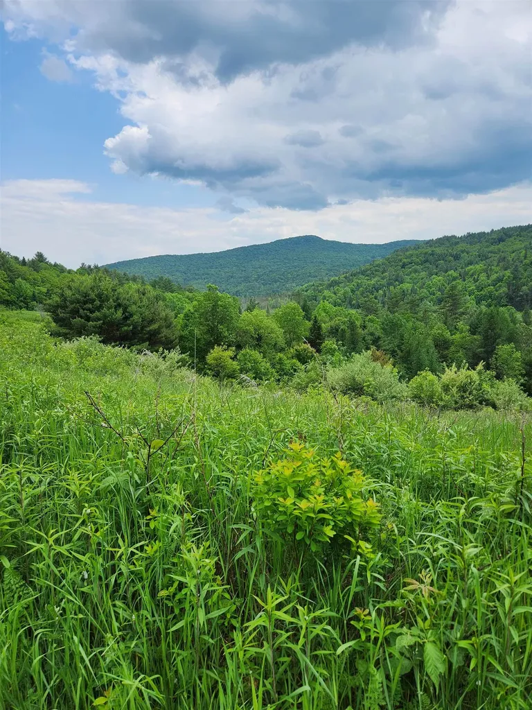 2402 Chelsea Road Corinth VT 05039