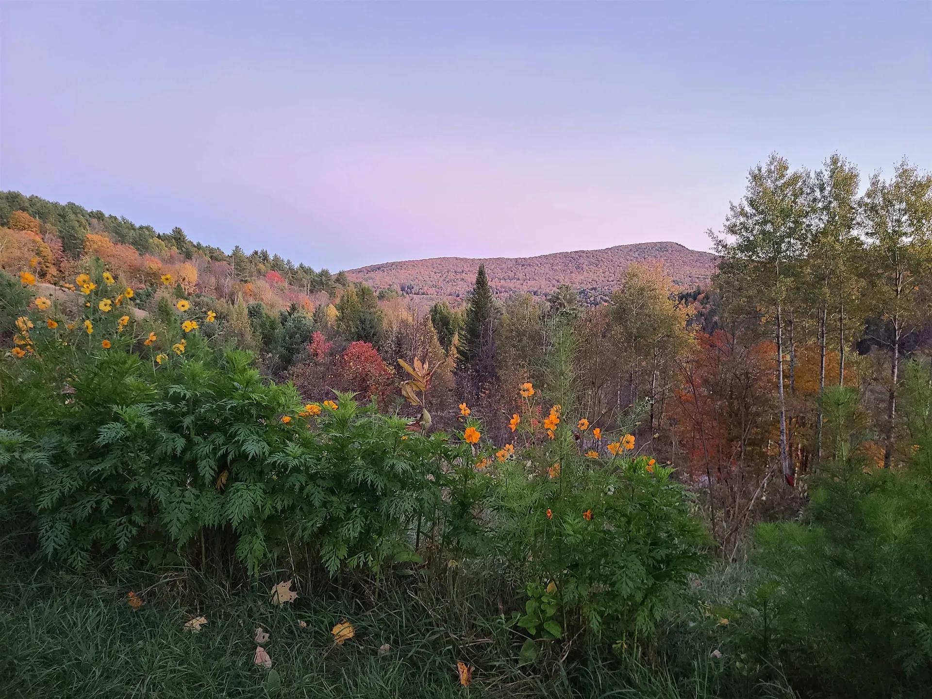 2402 Chelsea Road Corinth VT 05039