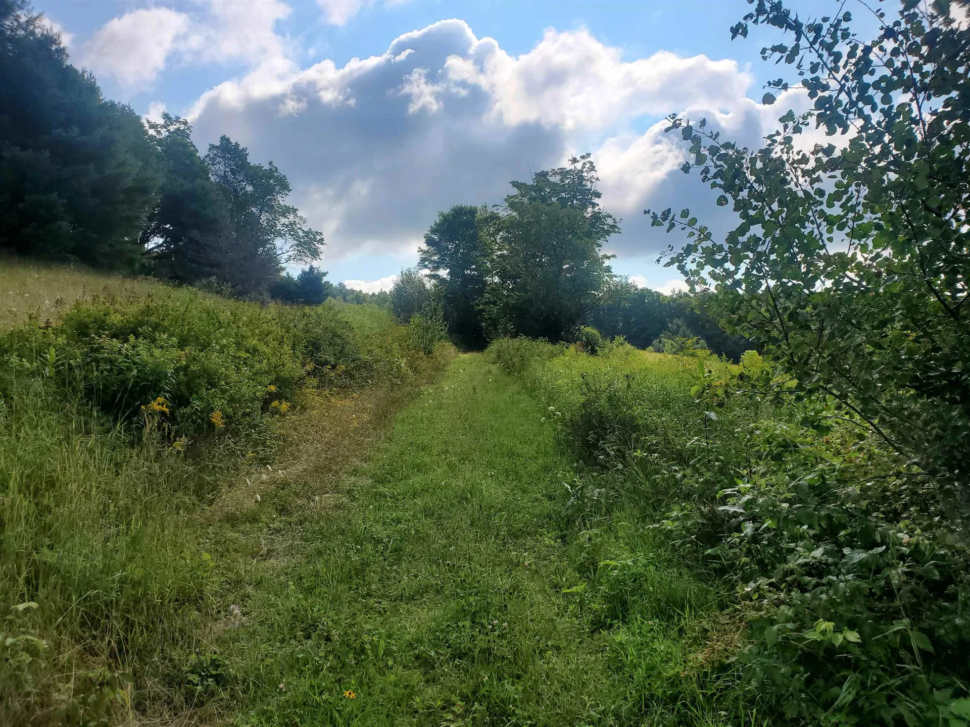 2402 Chelsea Road Corinth VT 05039