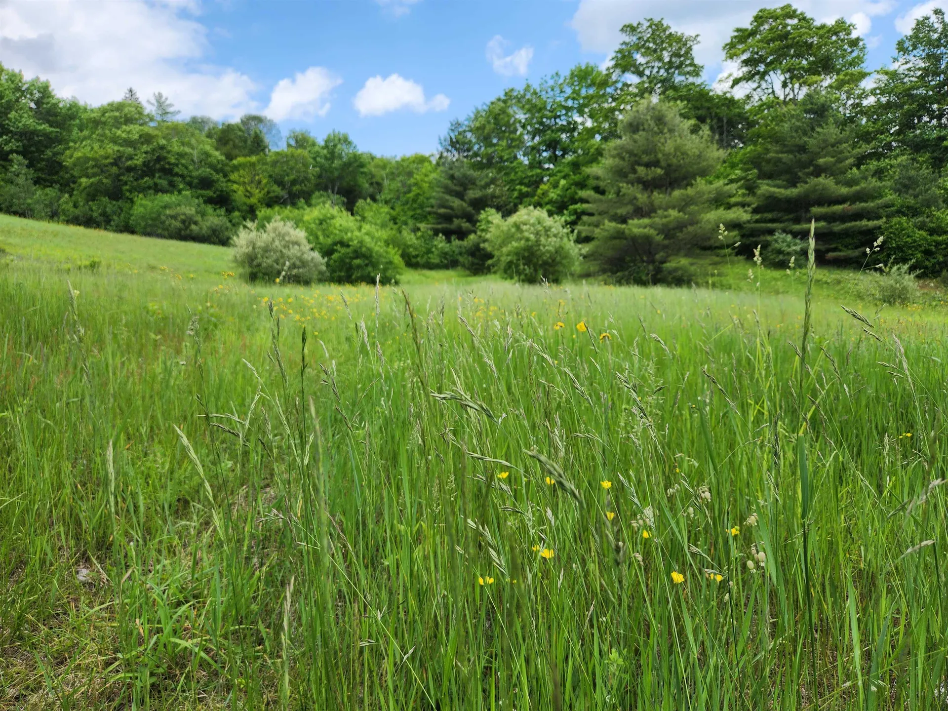2402 Chelsea Road Corinth VT 05039