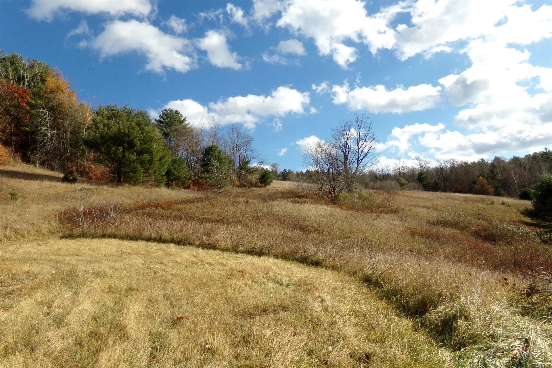 2402 Chelsea Road Corinth VT 05039