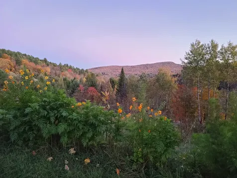 2402 Chelsea Road Corinth VT 05039