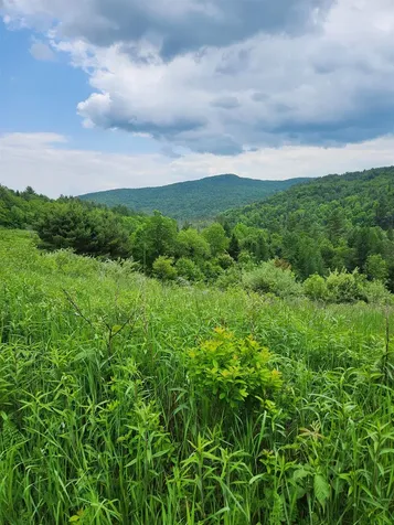 2402 Chelsea Road Corinth VT 05039