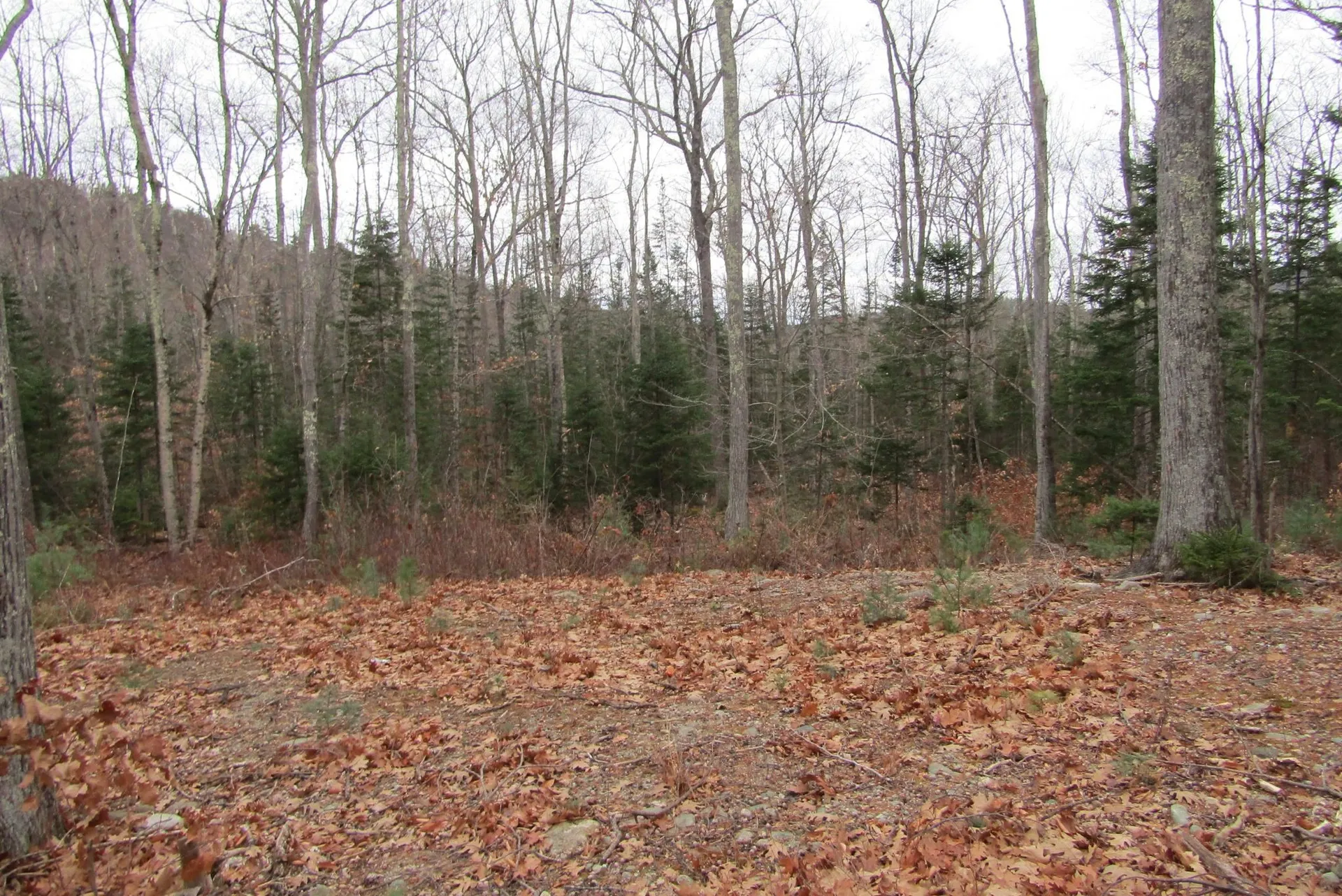 00 Benton Road Haverhill NH 03774