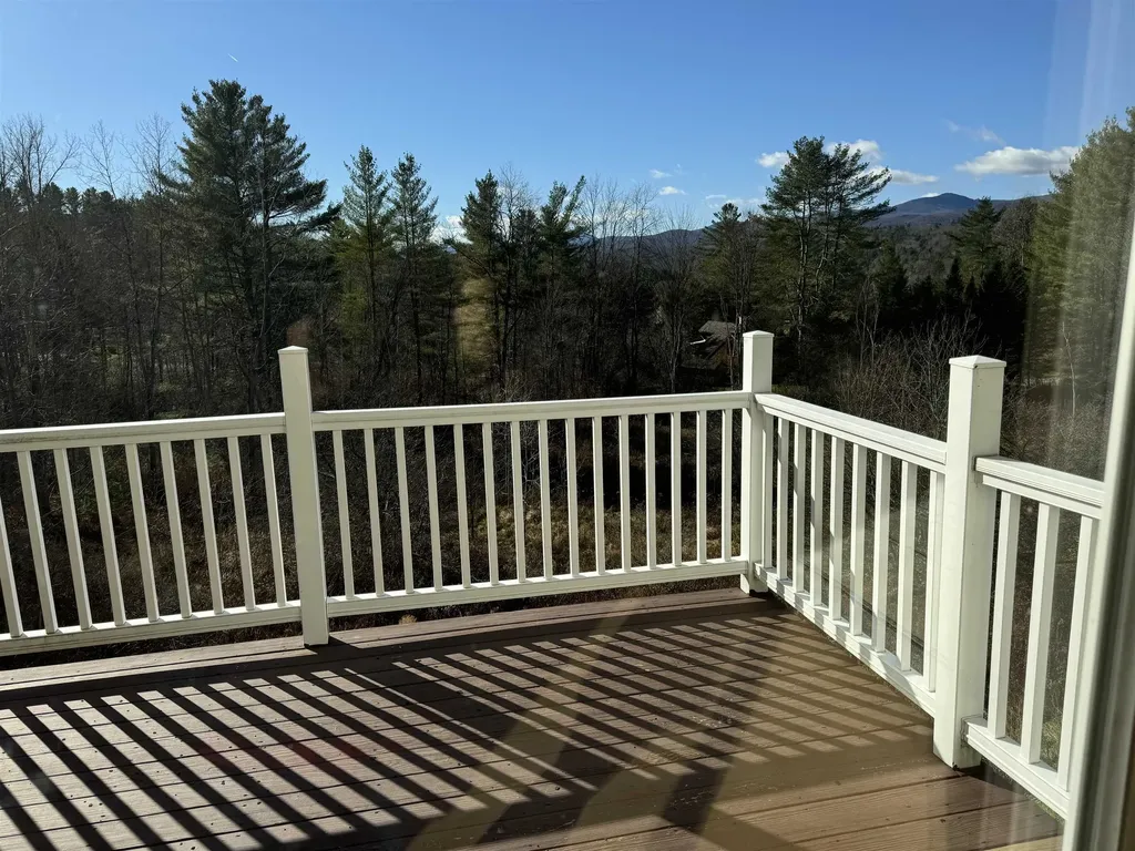 131 Sylvan Woods Drive Stowe VT 05672