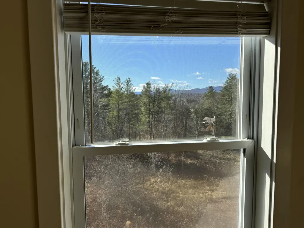 131 Sylvan Woods Drive Stowe VT 05672