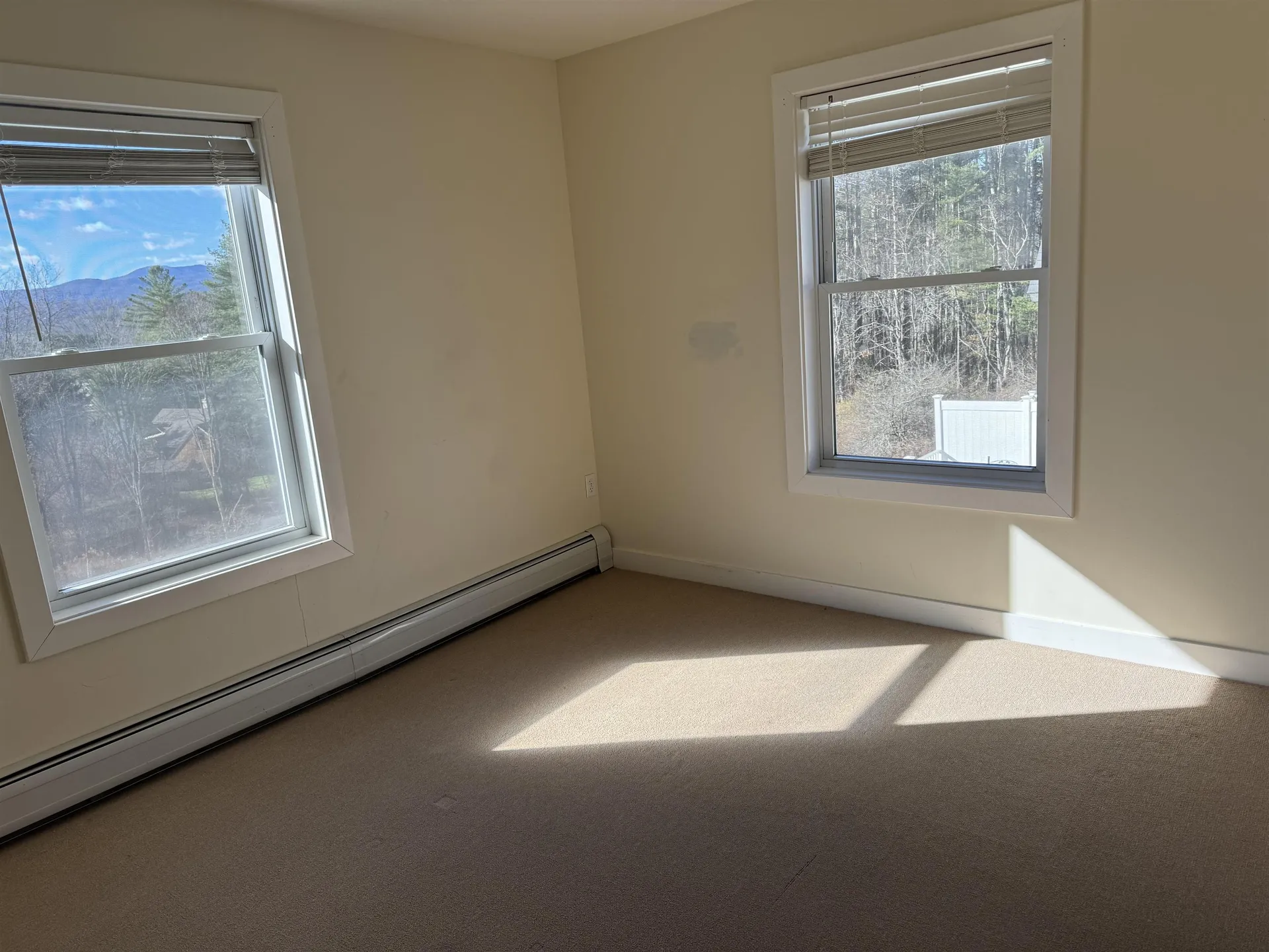 131 Sylvan Woods Drive Stowe VT 05672