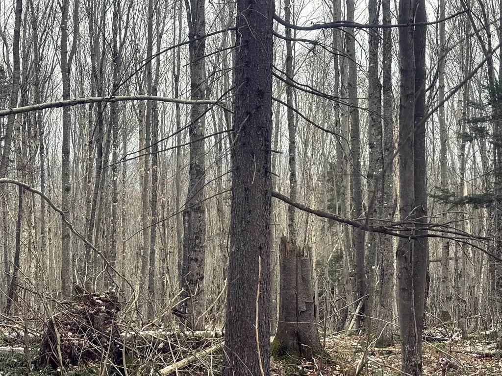 Lot 2 Canaan Hill Road Averill VT 05903