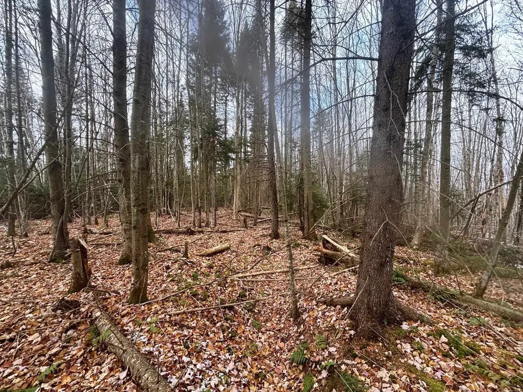 Lot 2 Canaan Hill Road Averill VT 05903