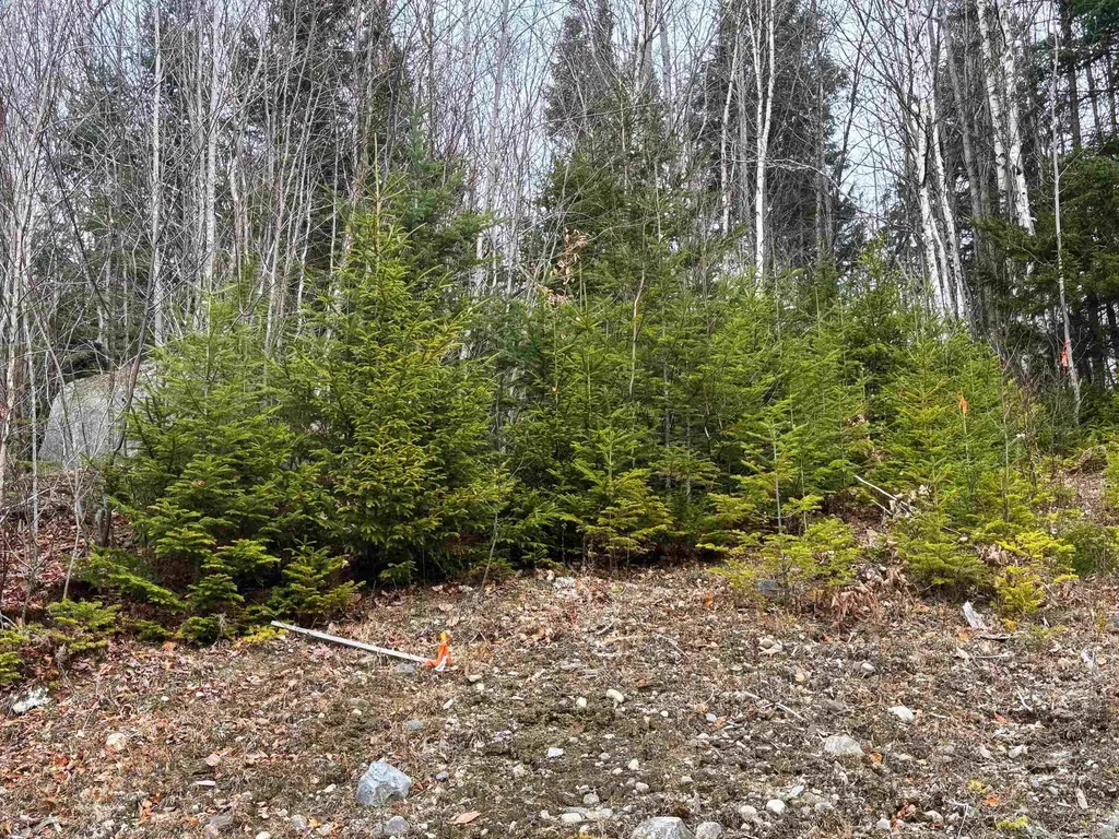 Lot 2 Canaan Hill Road Averill VT 05903