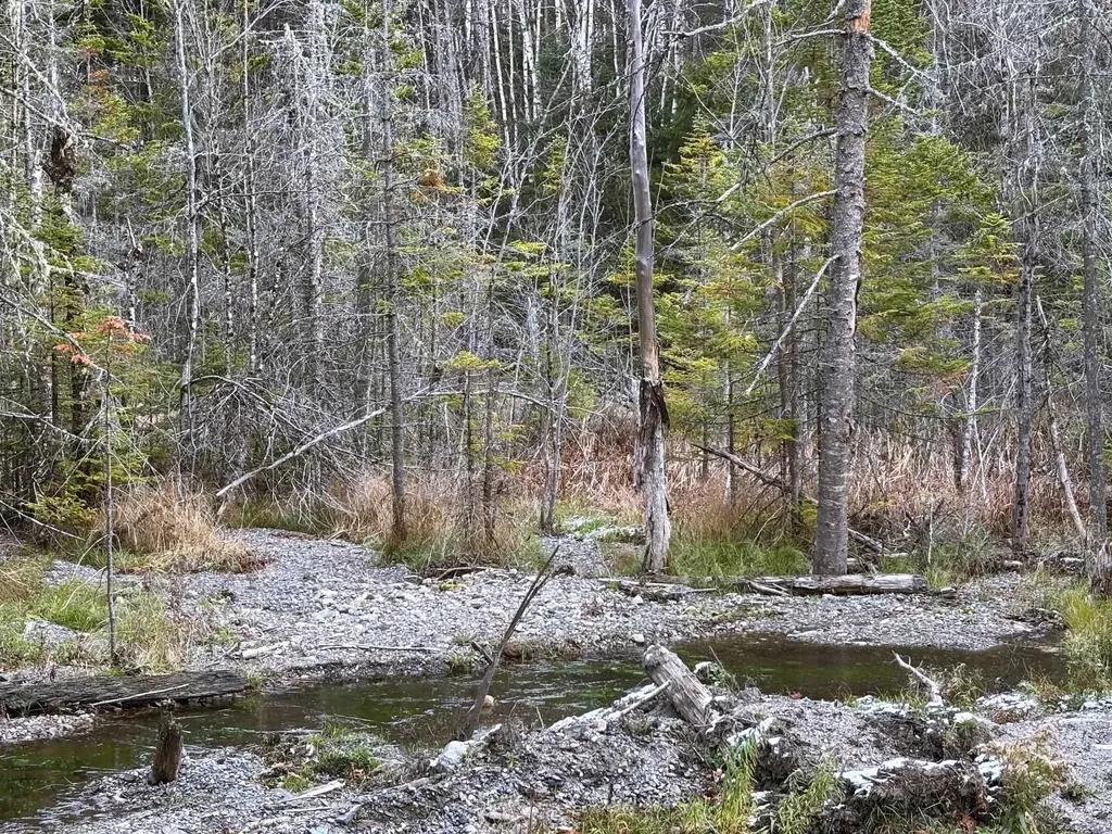 Lot 2 Canaan Hill Road Averill VT 05903