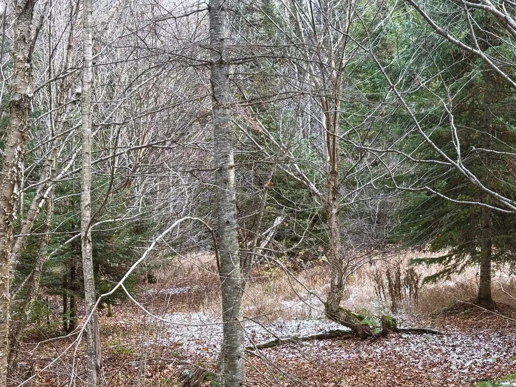 Lot 2 Canaan Hill Road Averill VT 05903