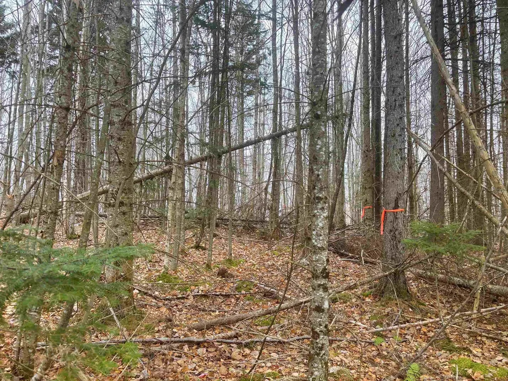 Lot 2 Canaan Hill Road Averill VT 05903