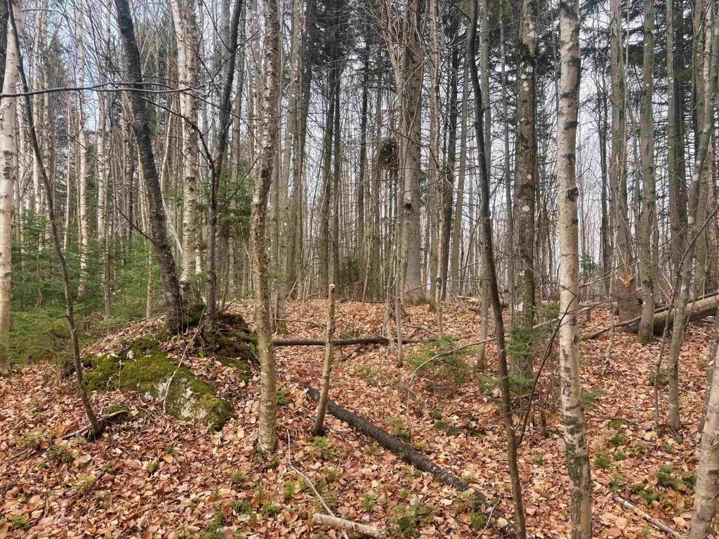 Lot 2 Canaan Hill Road Averill VT 05903