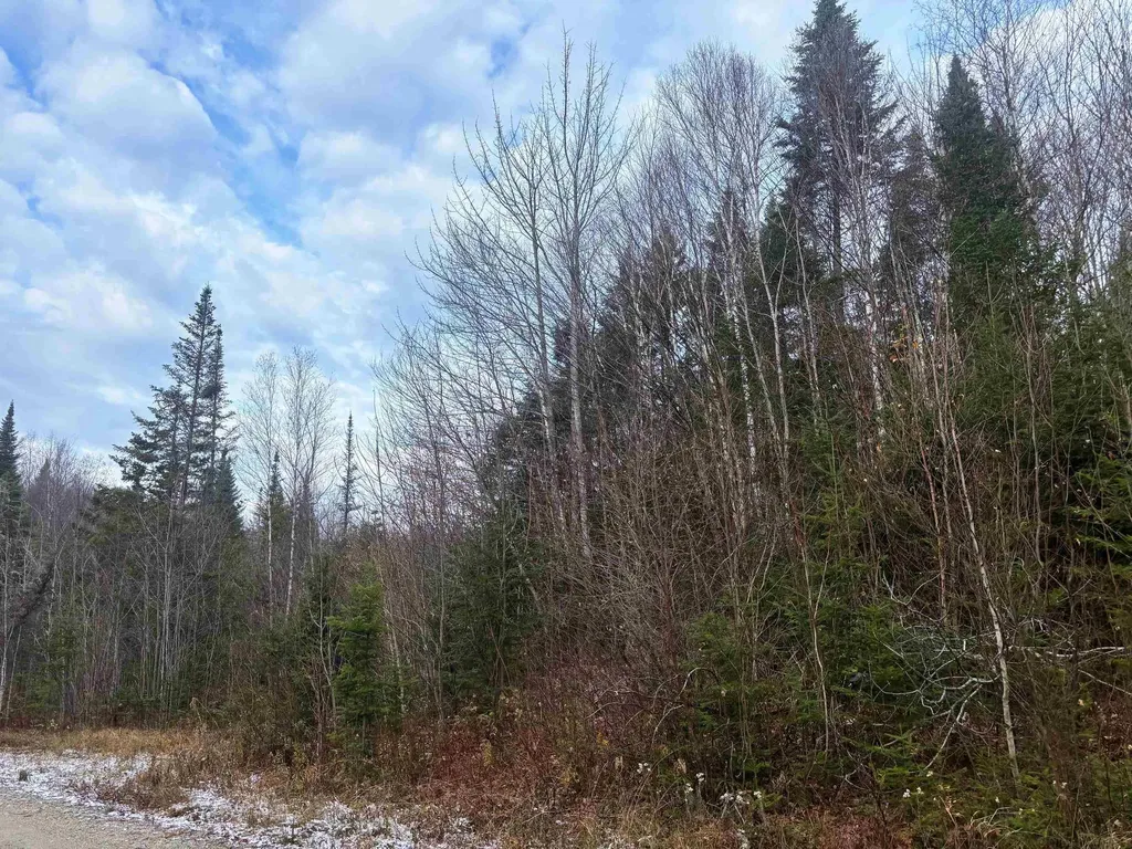 Lot 2 Canaan Hill Road Averill VT 05903