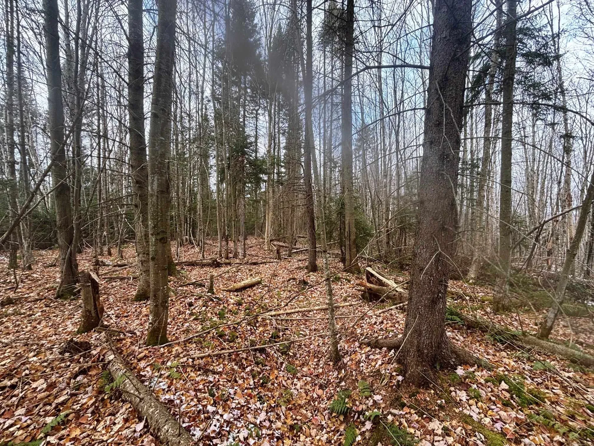 Lot 2 Canaan Hill Road Averill VT 05903