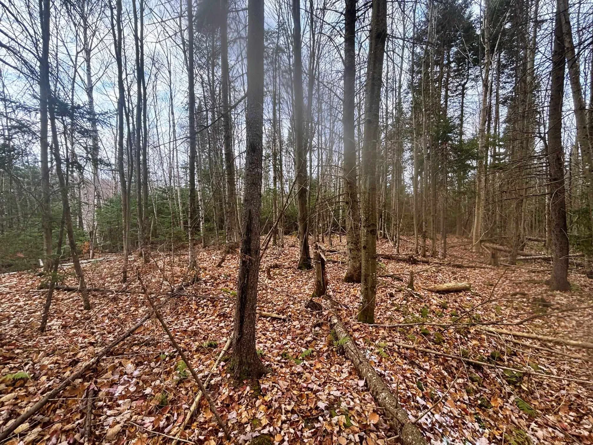 Lot 2 Canaan Hill Road Averill VT 05903