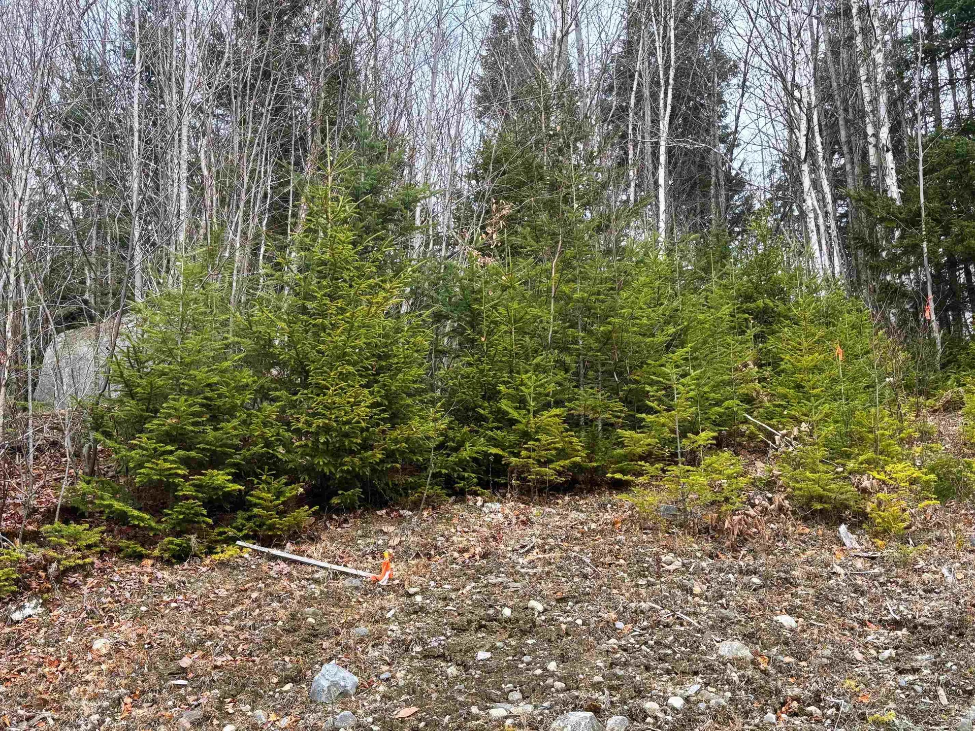 Lot 2 Canaan Hill Road Averill VT 05903