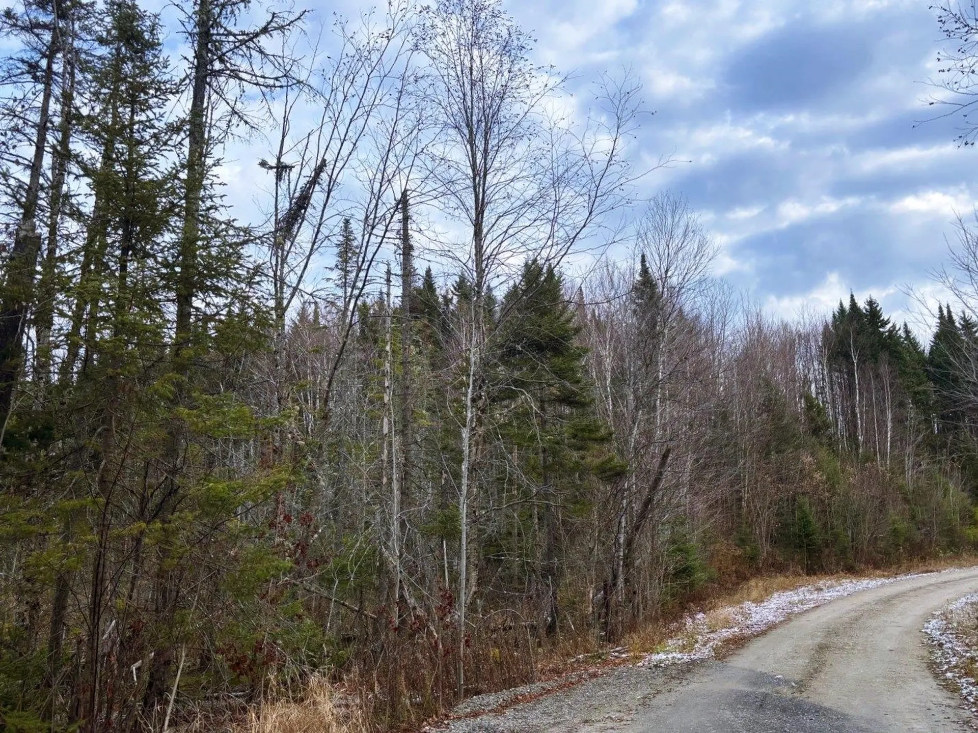 Lot 2 Canaan Hill Road Averill VT 05903