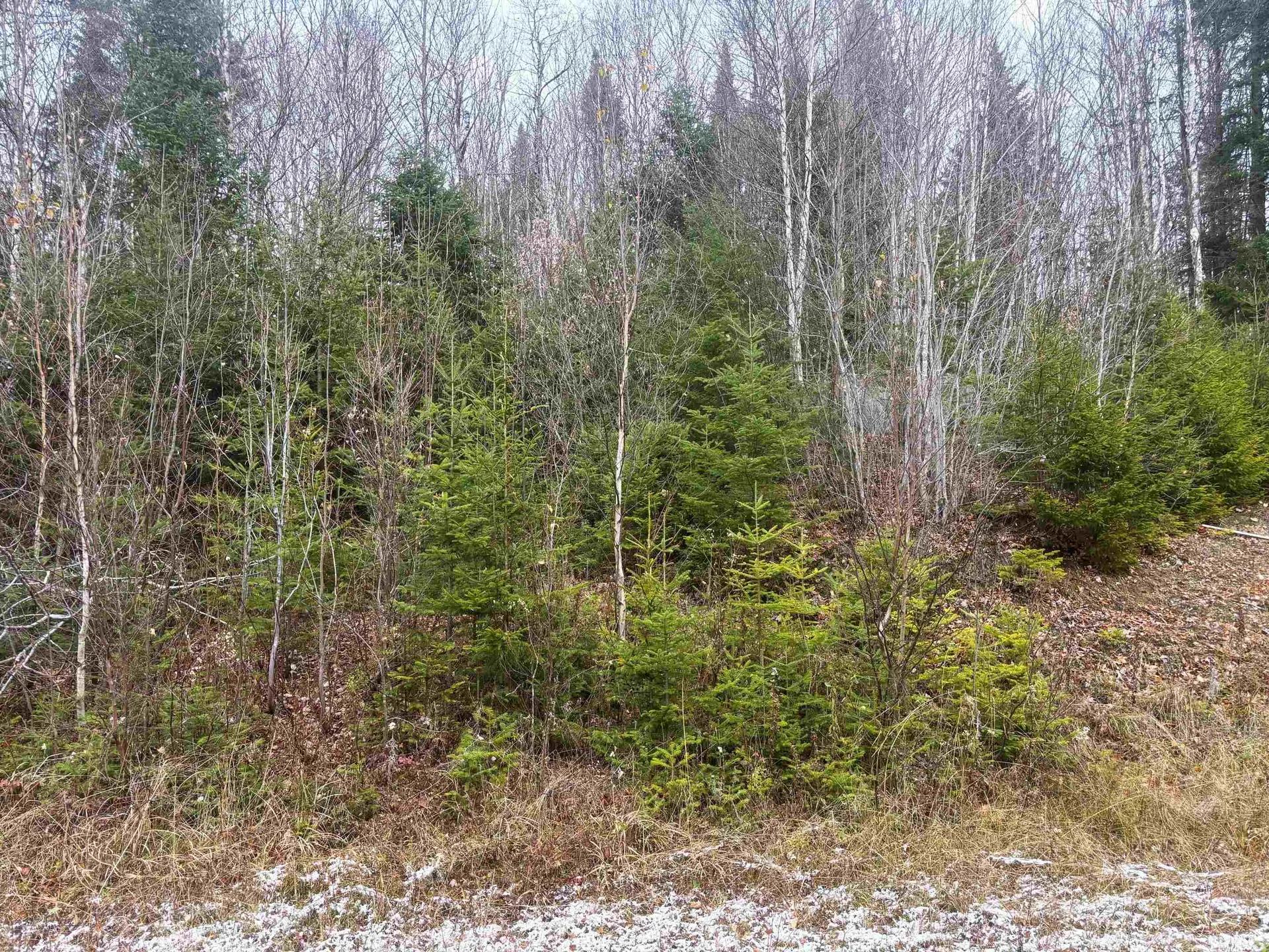 Lot 2 Canaan Hill Road Averill VT 05903