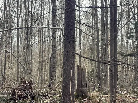 Lot 2 Canaan Hill Road Averill VT 05903