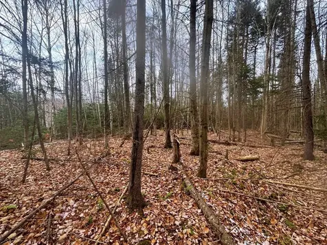 Lot 2 Canaan Hill Road Averill VT 05903