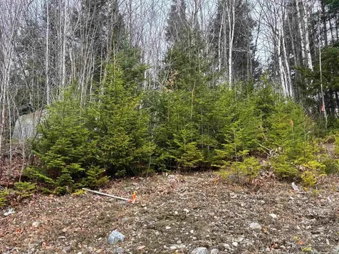 Lot 2 Canaan Hill Road Averill VT 05903