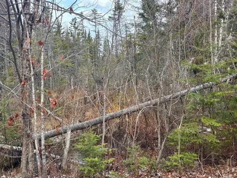 Lot 2 Canaan Hill Road Averill VT 05903