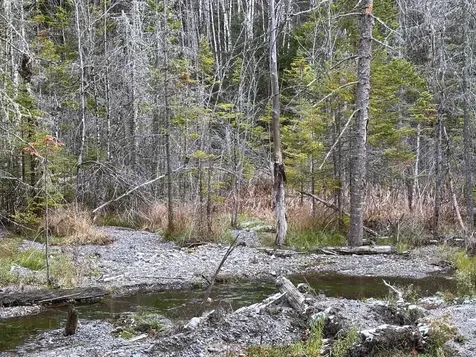 Lot 2 Canaan Hill Road Averill VT 05903